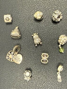 Pandora Silver Charm Bead Collection